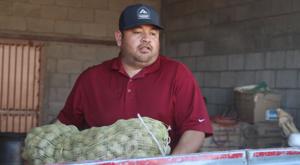 Relacionada papas.jpg