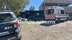 Relacionada 1000271406.jpg