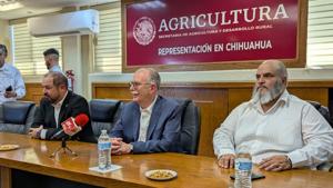 Relacionada 30430.jpg