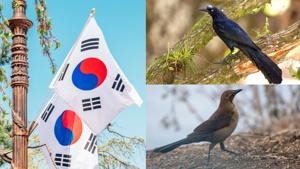 Relacionada fotojet-1.jpg