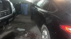 Relacionada download-66.jpg