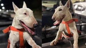 Relacionada fotojet-2.jpg