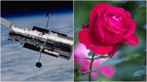 Relacionada fotojet-5.jpg