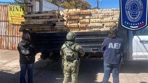 Relacionada 30506.jpg