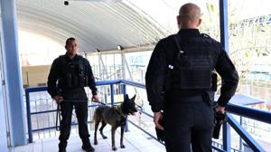 Relacionada k9et.jpg