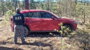 Relacionada 30517.jpg