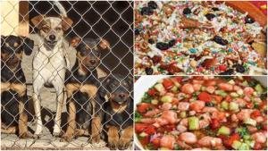 Relacionada fotojet.jpg