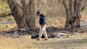 Relacionada inshot_20260303_090529735.jpg