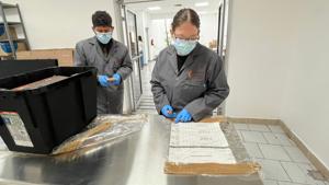 Relacionada 5b218e61-035c-4455-a7cc-333d3f7e2d38.jpg