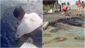 Relacionada fotojet-3.jpg