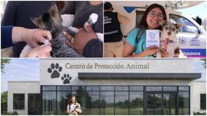 Relacionada proteccion-animal.jpg