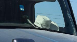 Relacionada download-85.jpg