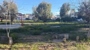 Relacionada download-88.jpg