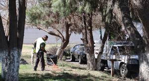 Relacionada parque-4.jpg