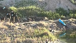 Relacionada whatsapp-image-2026-03-03-at-172549.jpg