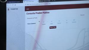 Relacionada 69a75b4e0dc67__69a75b4e0dc68.jpg