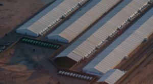 Relacionada download-95.jpg