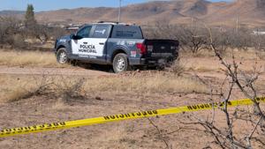 Relacionada inshot_20260304_104509746.jpg