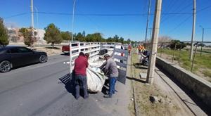 Relacionada descarga-13.jpg