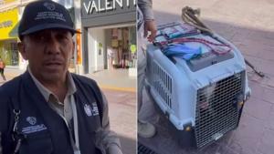 Relacionada photo-output.jpg