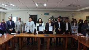 Relacionada cobach.jpg