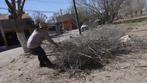 Relacionada 69a8a69cd2b66__69a8a69cd2b68.jpg