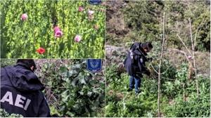 Relacionada pixlr_20260304210151626.jpg