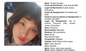 Relacionada whatsapp-image-2026-03-04-at-100036-pm.jpg