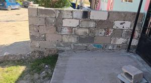 Relacionada download-2026-03-05t110837011.jpg