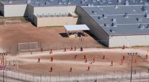 Relacionada download-2026-03-05t114649324.jpg