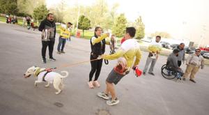 Relacionada carrera_mascotas_principal_66005f7da72ea__66005f7da72ec.jpg