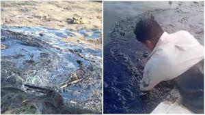 Relacionada fotojet-8.jpg