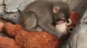 Relacionada descarga-38.jpg