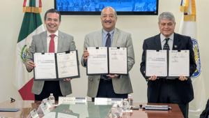 Relacionada pxl_20260306_2037081872.jpg