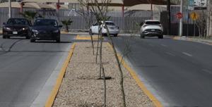 Relacionada 69ab463fded77__69ab463fded78.jpg