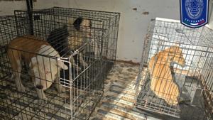 Relacionada whatsapp-image-2026-03-07-at-85956-am.jpg