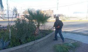 Relacionada whatsapp-image-2026-03-07-at-111208-am.jpg