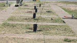 Relacionada whatsapp-image-2026-03-07-at-114531-am.jpg