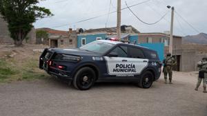 Relacionada inshot_20260309_082854072.jpg