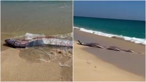 Relacionada fotojet-1.jpg