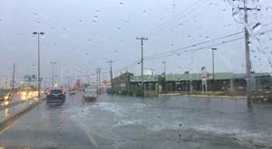 Relacionada principal_img_3286.jpg