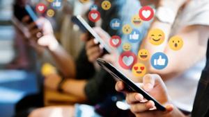 Relacionada estudio-pantallasjpg.jpg