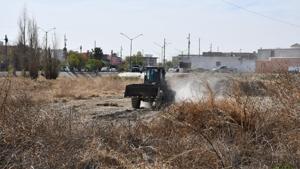 Relacionada 69af339d4b966__69af339d4b967.jpg