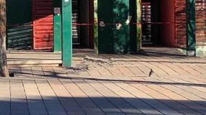 Relacionada screenshot-2026-03-09-181441-1.jpg