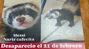 Relacionada download-2026-03-10t091053091.jpg