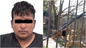 Relacionada fotojet-1.jpg