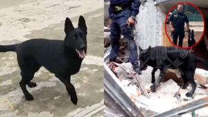 Relacionada togo.jpg