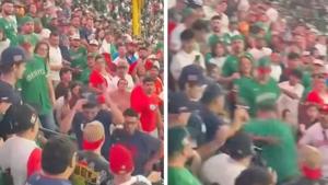 Relacionada img-20260310-wa0014.jpg