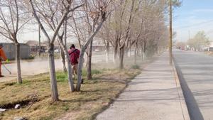 Relacionada 69b0452e2efdf__69b0452e2efe1.jpg