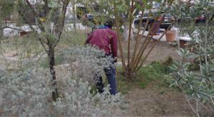 Relacionada descarga-80.jpg